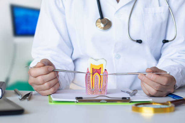 Best Emergency Root Canal Treatment in Gray, TN